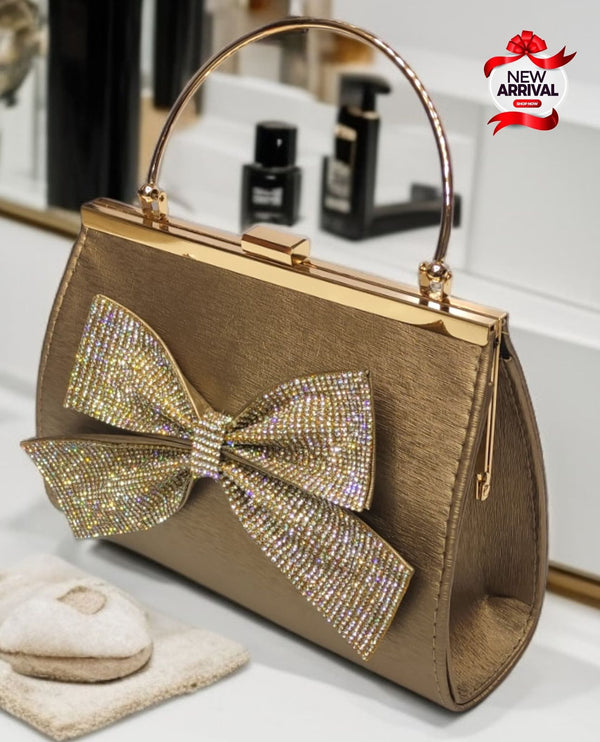 ladies handbag
